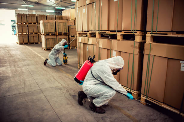 Best Affordable Pest Control Services  in Cuba City, WI