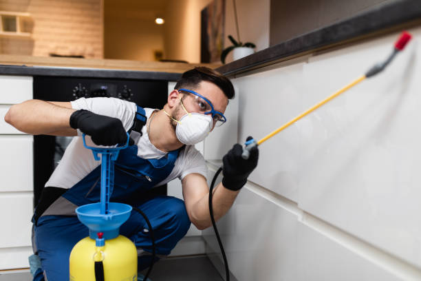 Best Affordable Pest Control Services  in Cuba City, WI