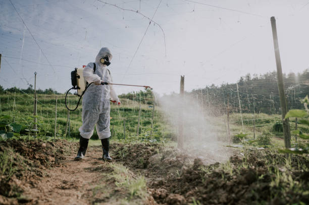 Best Ant Control Services  in Cuba City, WI