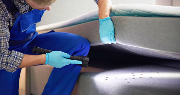 Best Flea Control Services  in Cuba City, WI
