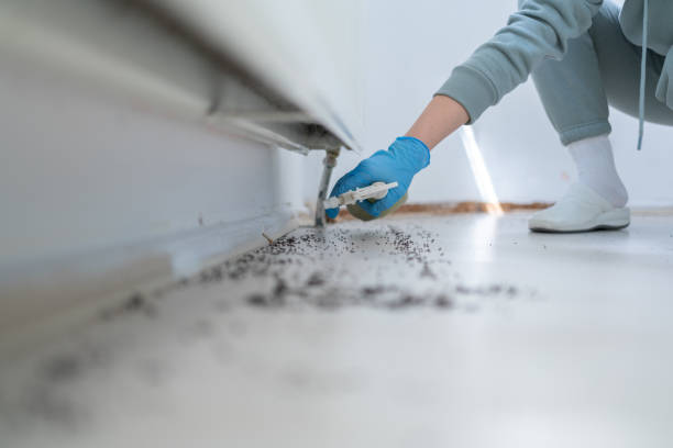Best Residential Pest Control  in Cuba City, WI